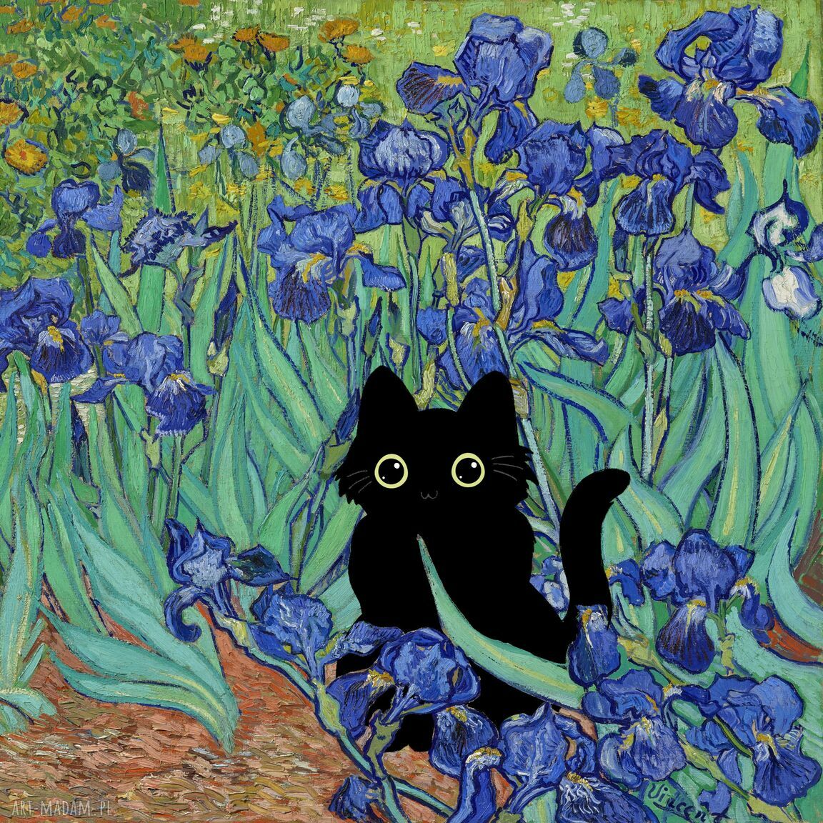 Śmieszny plakat z czarnym kotem w Irysach Van Gogha 40x40 - prezent dla kociarzy