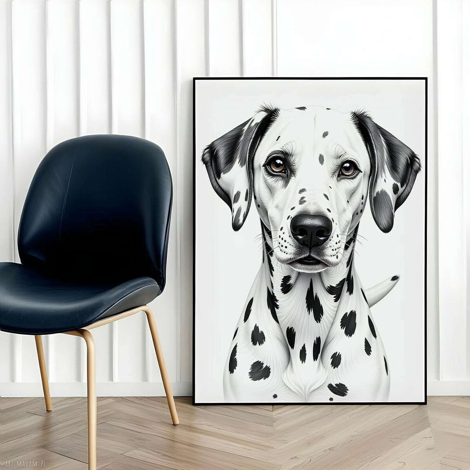 Plakat Dalmatyńczyk - pies - format 50x70 cm