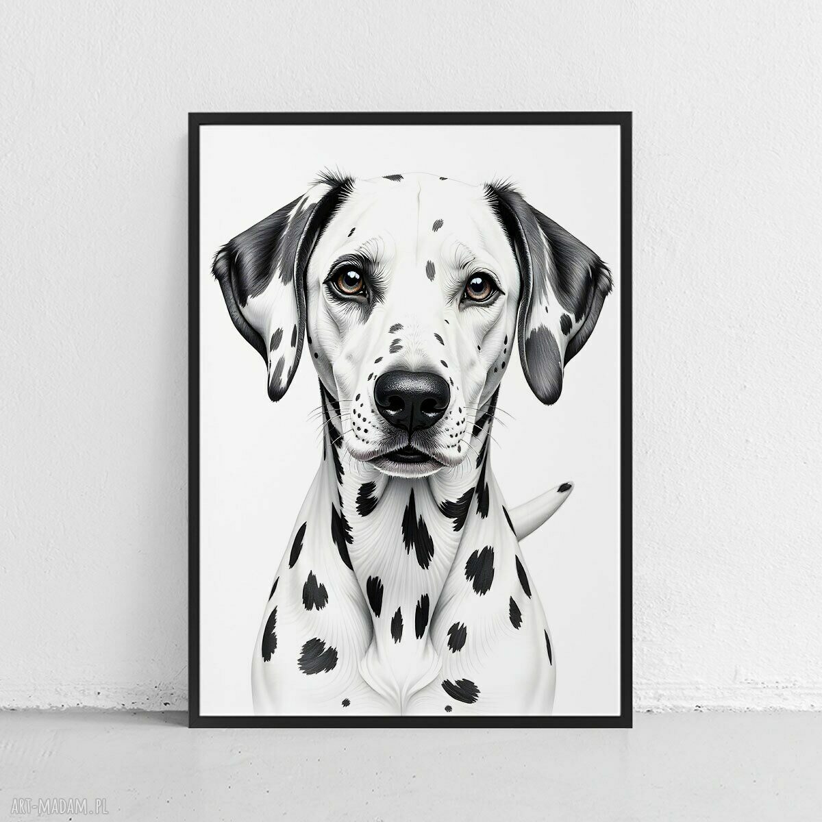 Plakat Dalmatyńczyk 61x91 cm - duży pies w ilustracji
