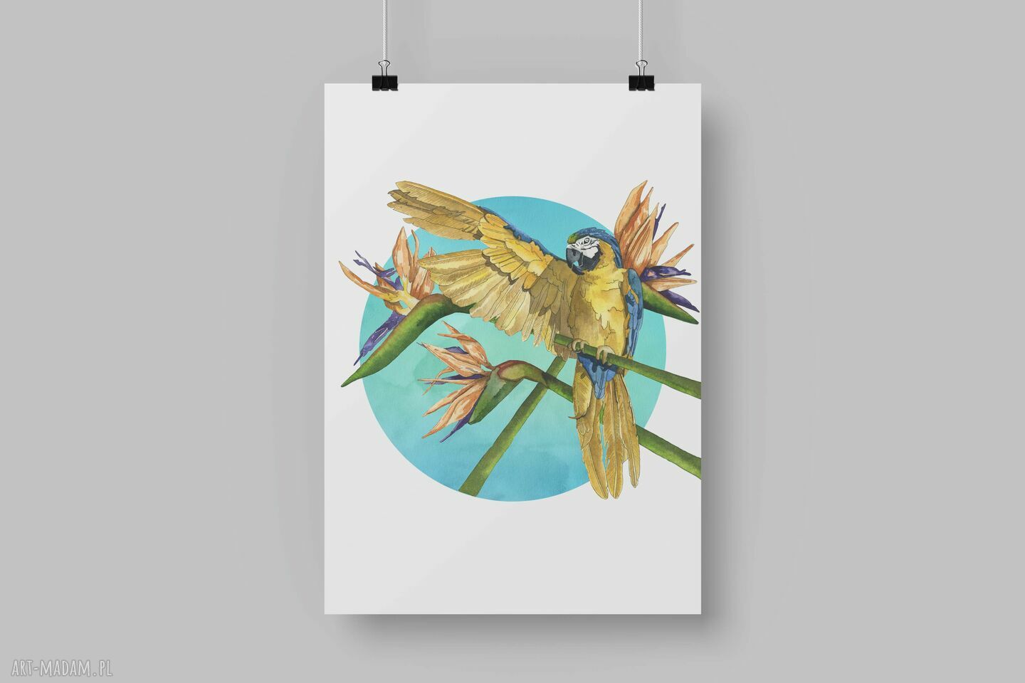Plakat dekoracyjny A3 „Papuga niebieska”