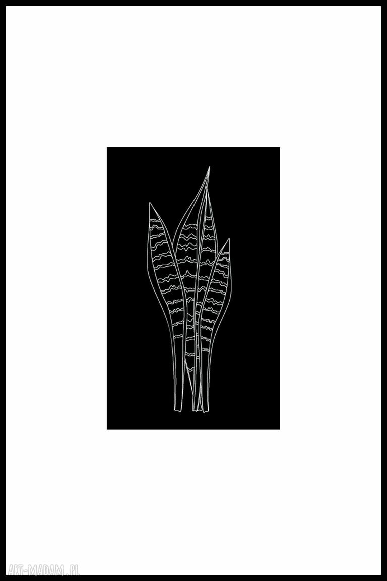 Plakat czarno-biały z roślinną grafiką - zestaw 2 szt., 30x40 cm (czerń i biel)