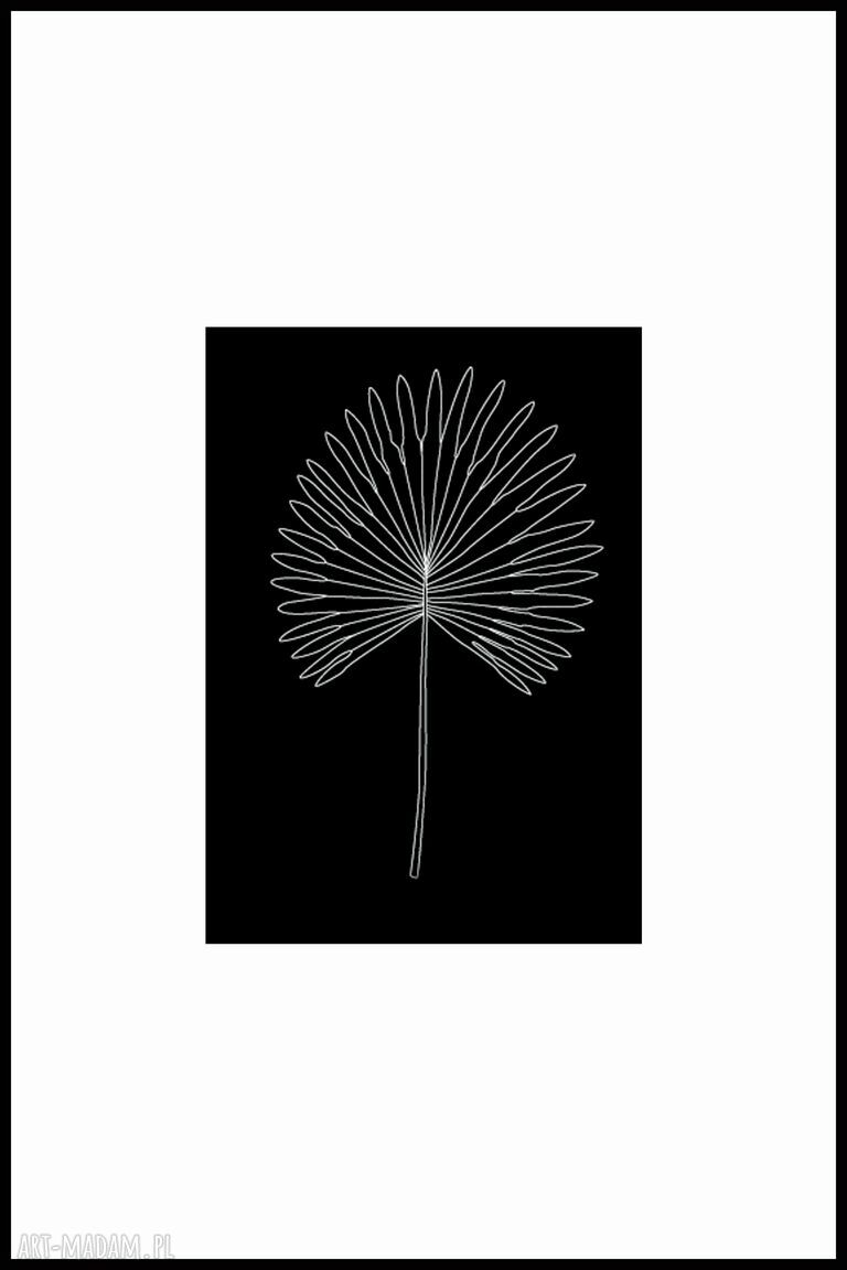 Plakat czarno-biały z roślinną grafiką - zestaw 2 szt., 30x40 cm (czerń i biel)