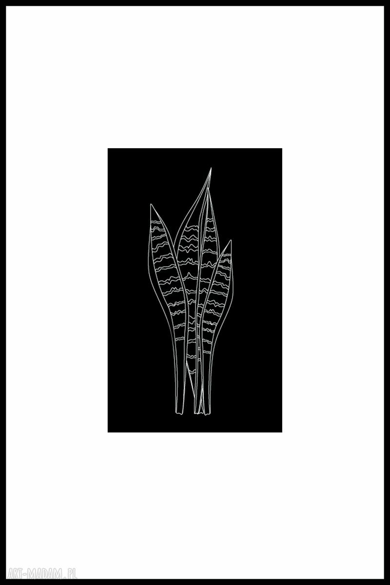 Plakat “Grafika czerń i biel I” - zestaw 2 plakatów rośliny 40x60 cm
