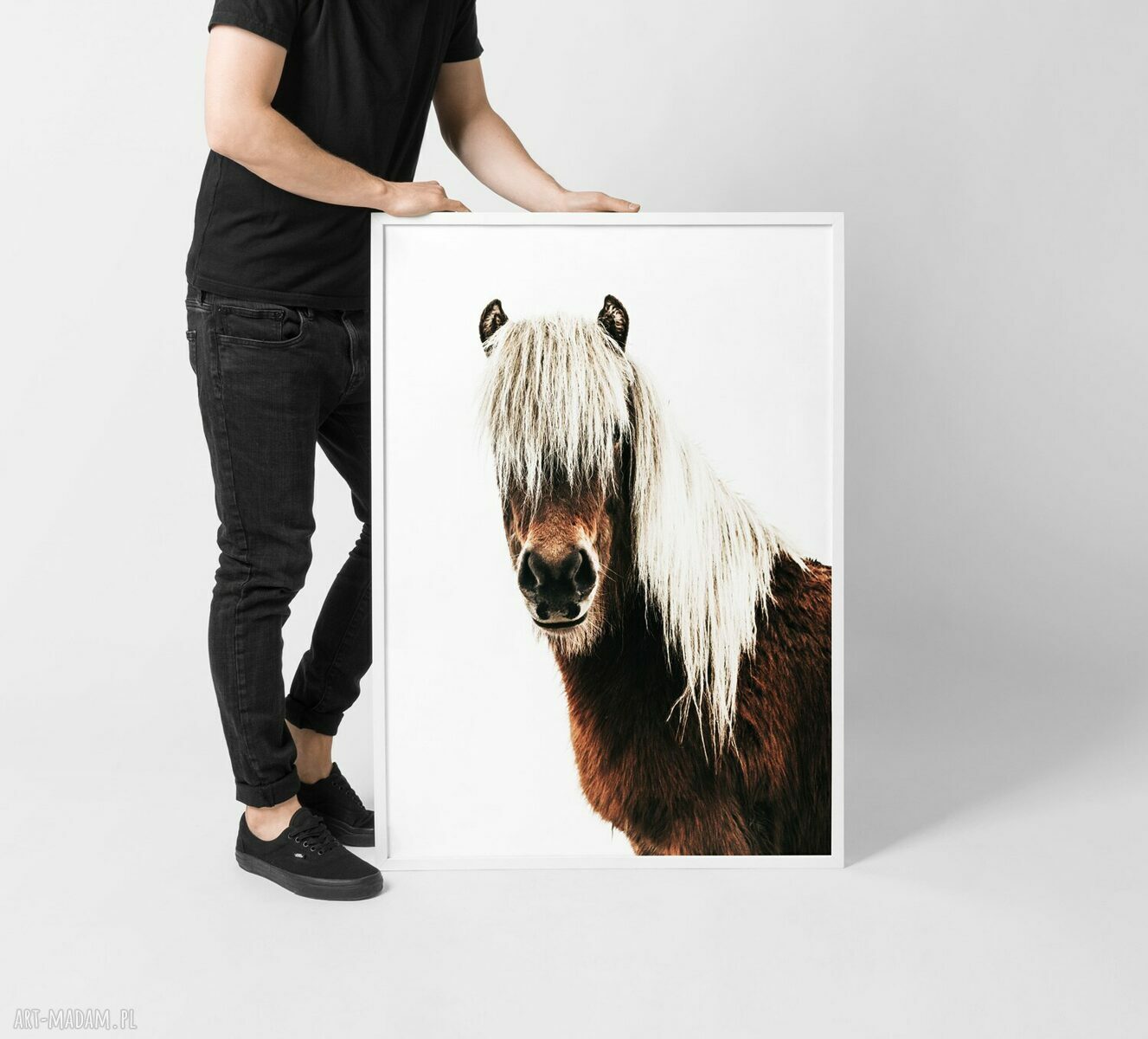Plakat Grzywacz 40x50 cm - dekoracja z motywem konia Hogstudio