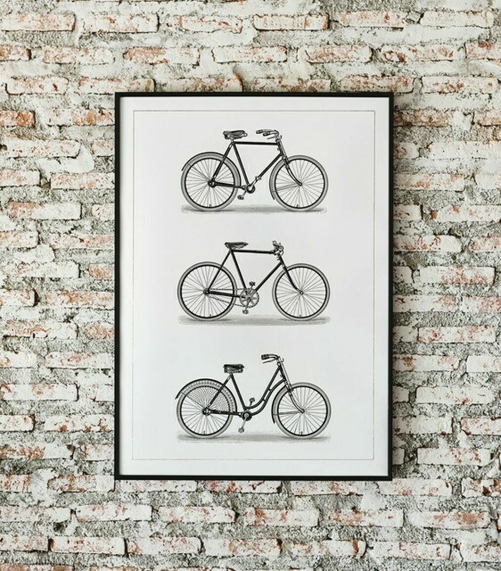 Plakat obraz Rowery 50x70 cm B2