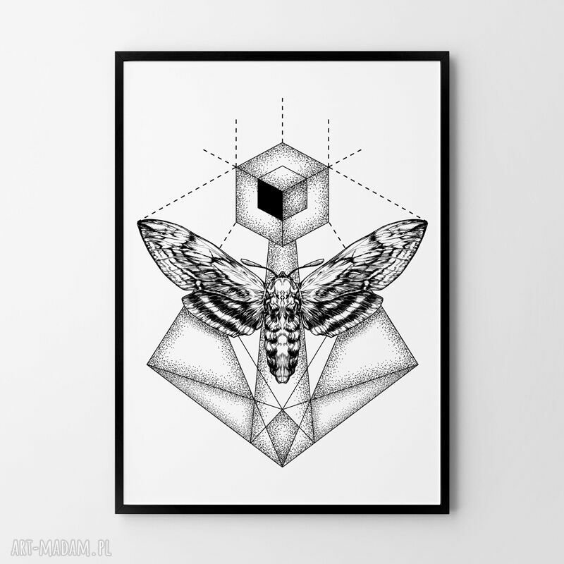 Plakat obraz ćma 50x70 cm B2