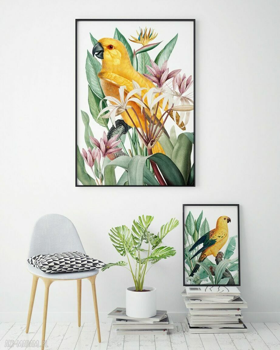 Plakat obraz Złota Papuga A4 21x29,7 cm