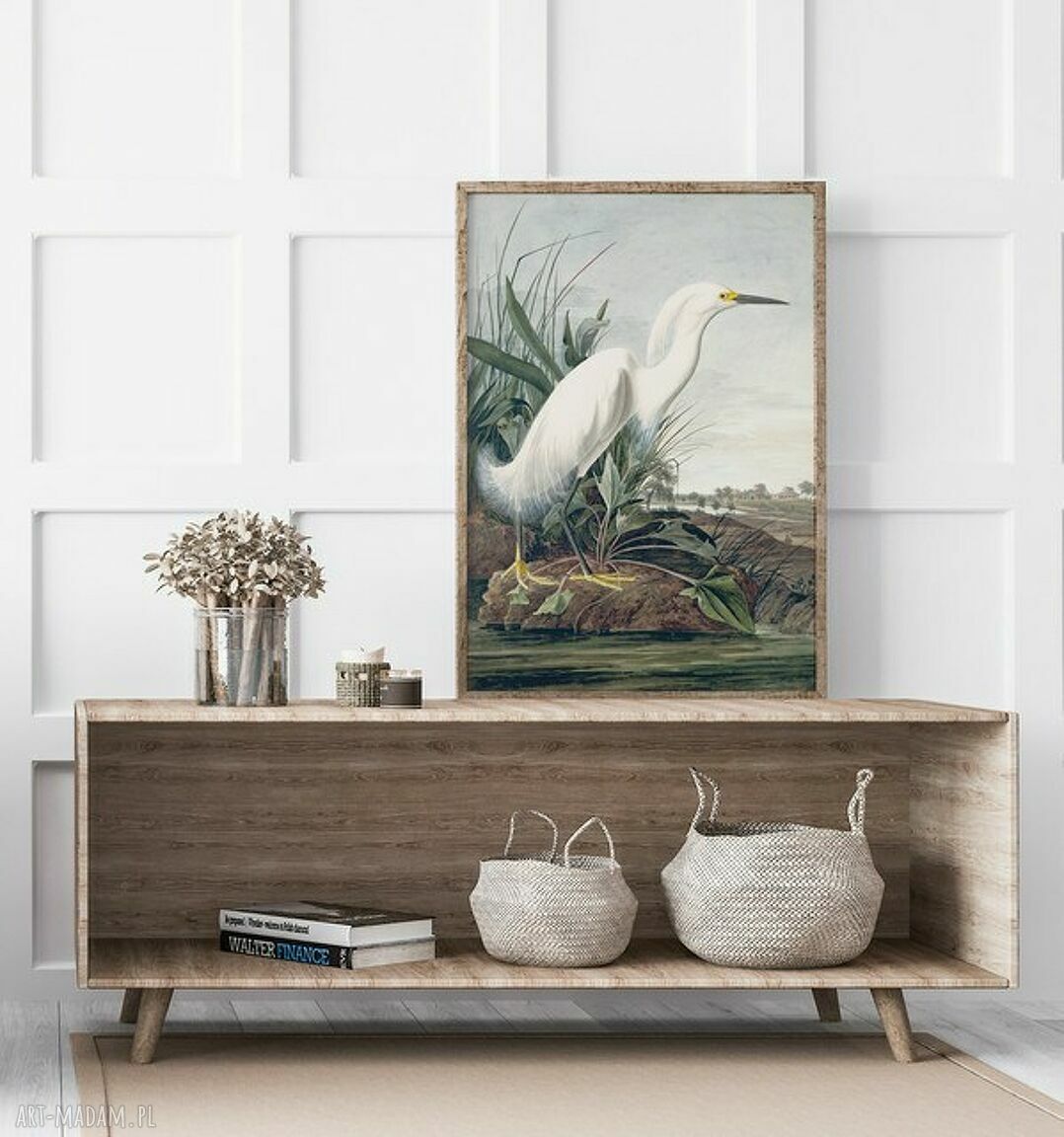 Plakat obraz biały ptak 61x91 cm Hogstudio