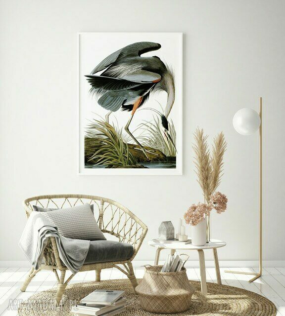 Plakat obraz Heron 61x91 cm