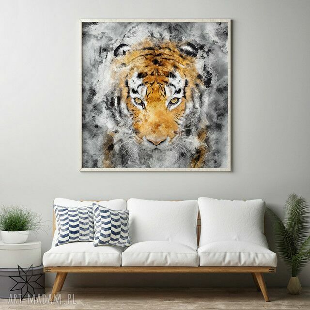 Plakat obraz tygrys 50x70 cm B2