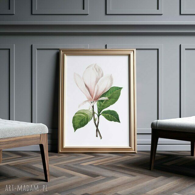 Plakat Obraz Vintage Magnolia 61x91 cm