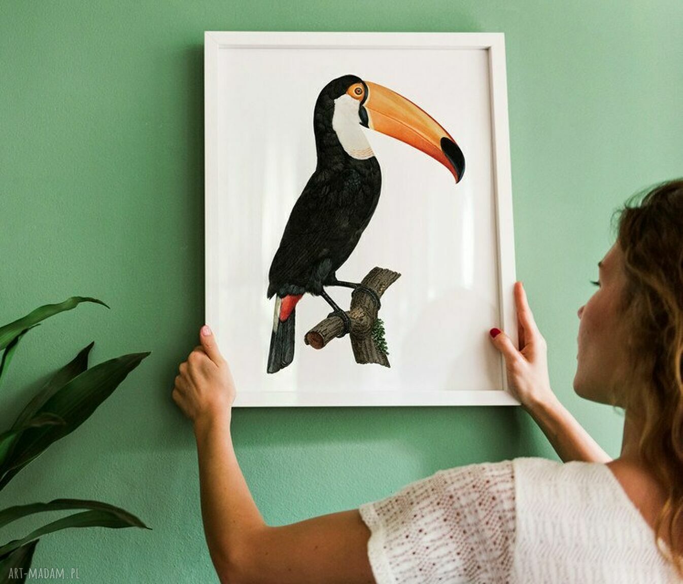 Plakat obraz tukan 50x70 cm B2 - piękny ptak w tropikalnym stylu