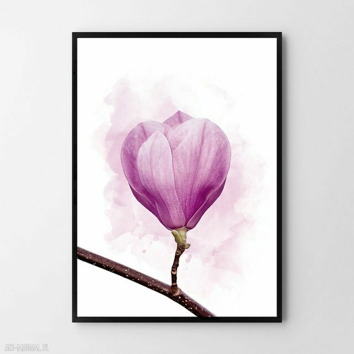 Plakat obraz Magnolia 50x70 cm B2