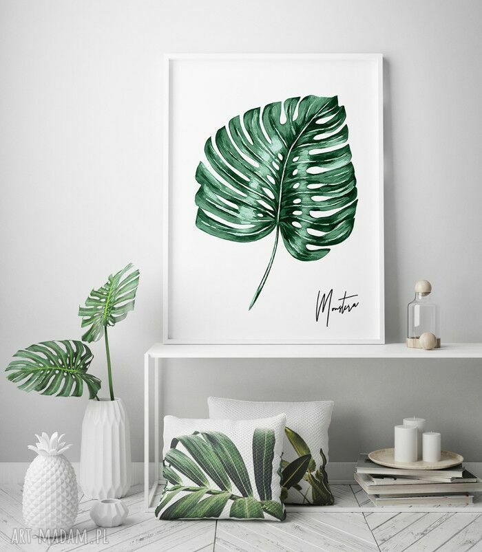 Plakat obraz monstera 50x70 cm B2 - zielona roślina