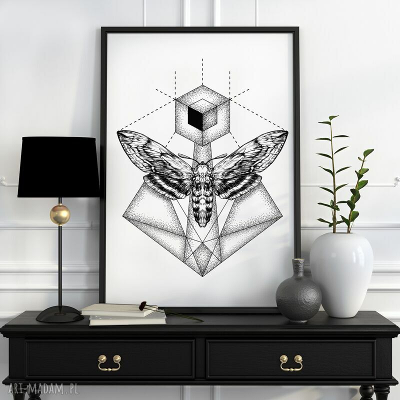 Plakat obraz ćma 50x70 cm B2