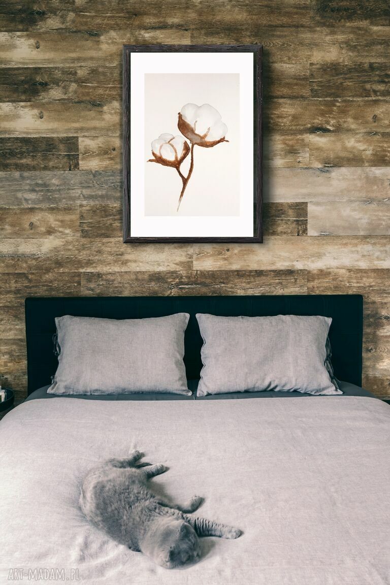 Plakat 40 x 60 Bawełna i - naturalna dekoracja do Twojego wnętrza