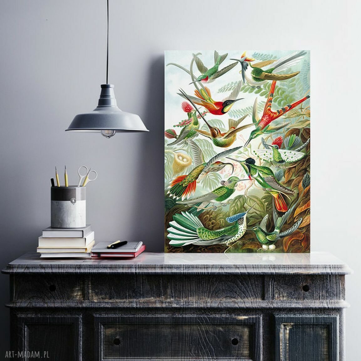 Plakat obraz Rajskie ptaki 50x70 cm B2