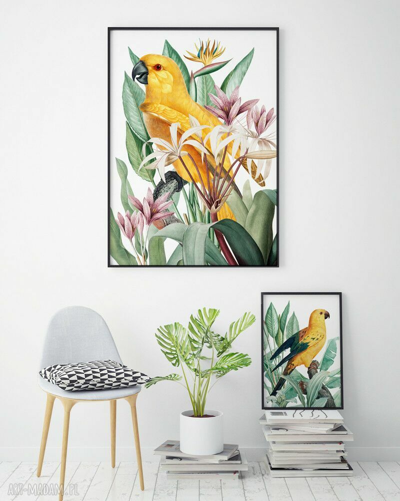 Plakat obraz papuga 50x70 cm B2 - żółte kwiaty