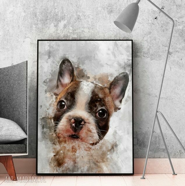 Plakat obraz Buldog 50x70 cm B2 - nowoczesna grafika psa