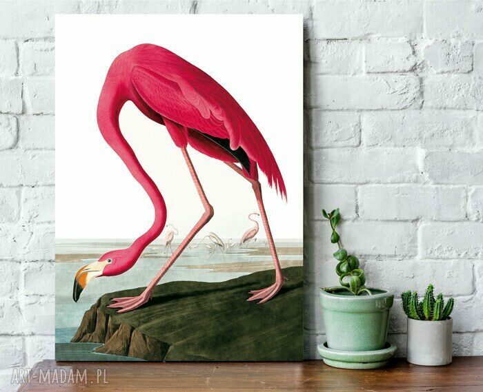 Plakat obraz Vintage Flaming 50x70 cm B2 - Hogstudio