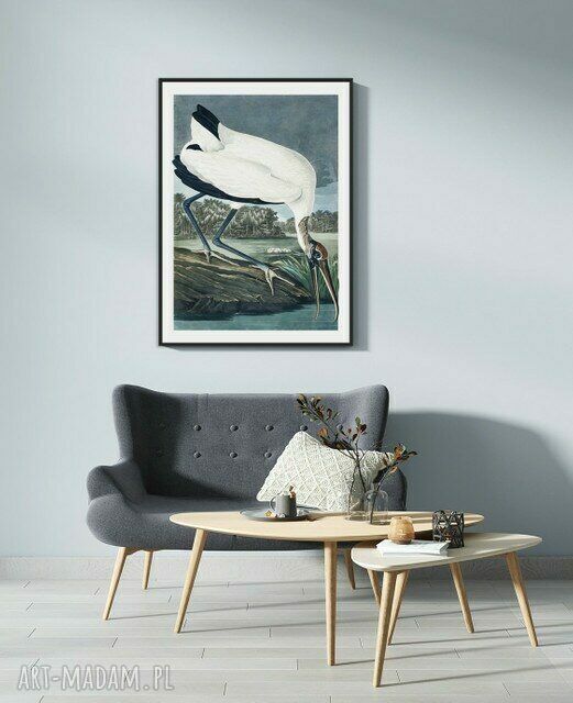 Plakat Obraz White Vintage A4 21x29.7 cm - Motyw ptaka
