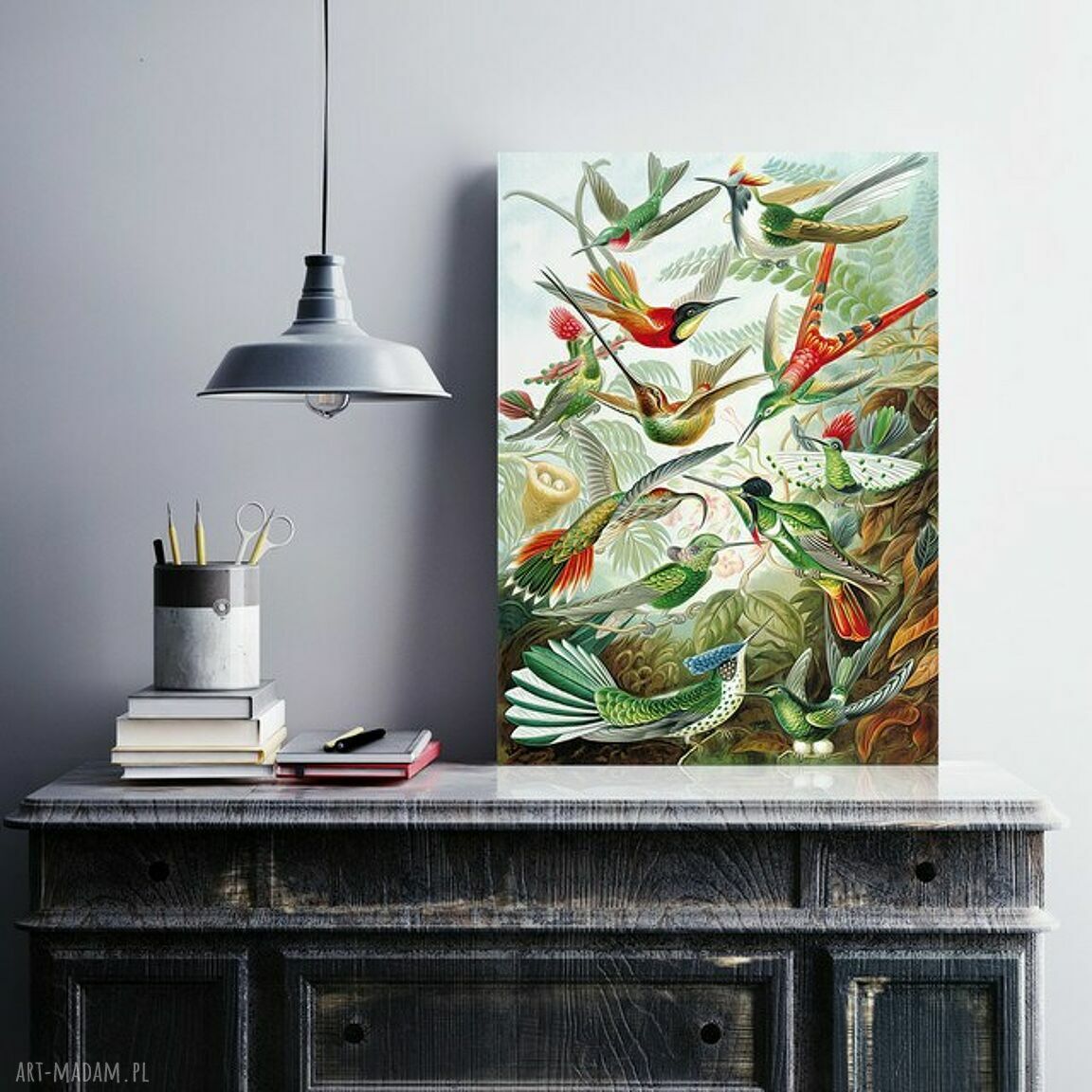 Plakat obraz rajskie ptaki 40x50 cm