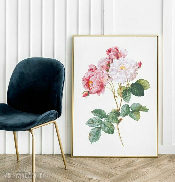 Plakat obraz róża 50x70 cm B2