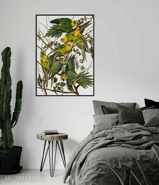 Plakat obraz papugi w kwiatach A3 - 29,7x42 cm