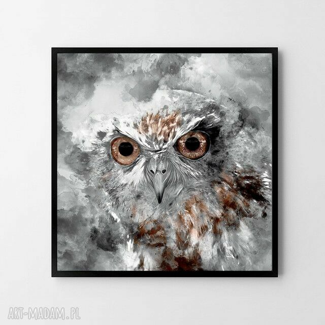Plakat Obraz Sowa 50x70 cm B2