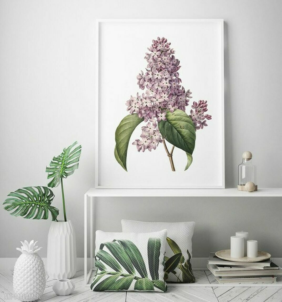 Plakat obraz kwiat bzu 50x70 cm B2 - miejski urok w Twoim wnętrzu