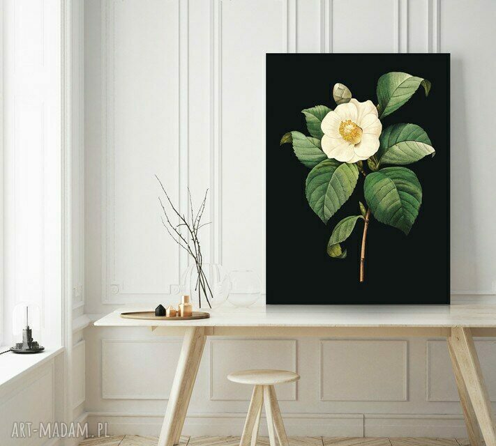 Plakat Obraz Black Vintage 50x70 cm B2 - czarna nostalgia na Twojej ścianie