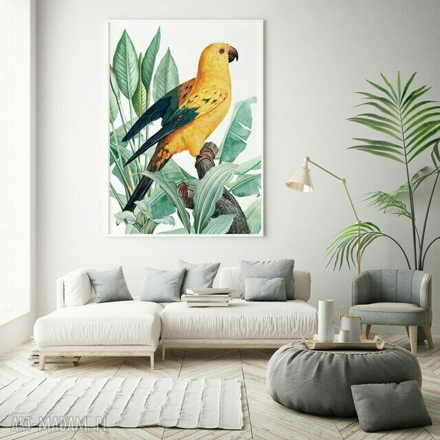 Plakat obraz Złota Papuga 50x70 cm B2 - Hogstudio