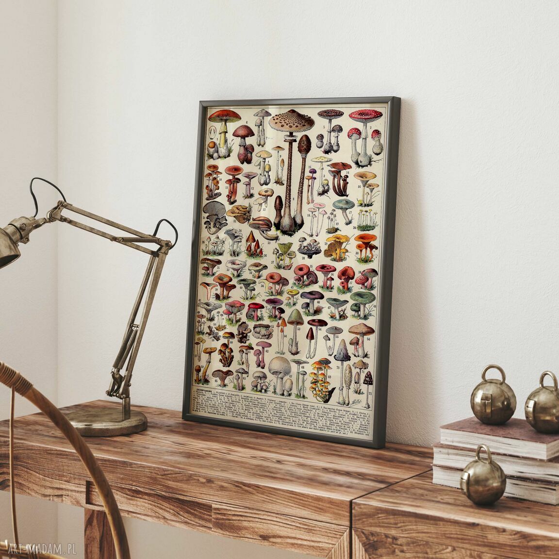 Plakat retro z grzybami 40x50 cm do sypialni (vintage)