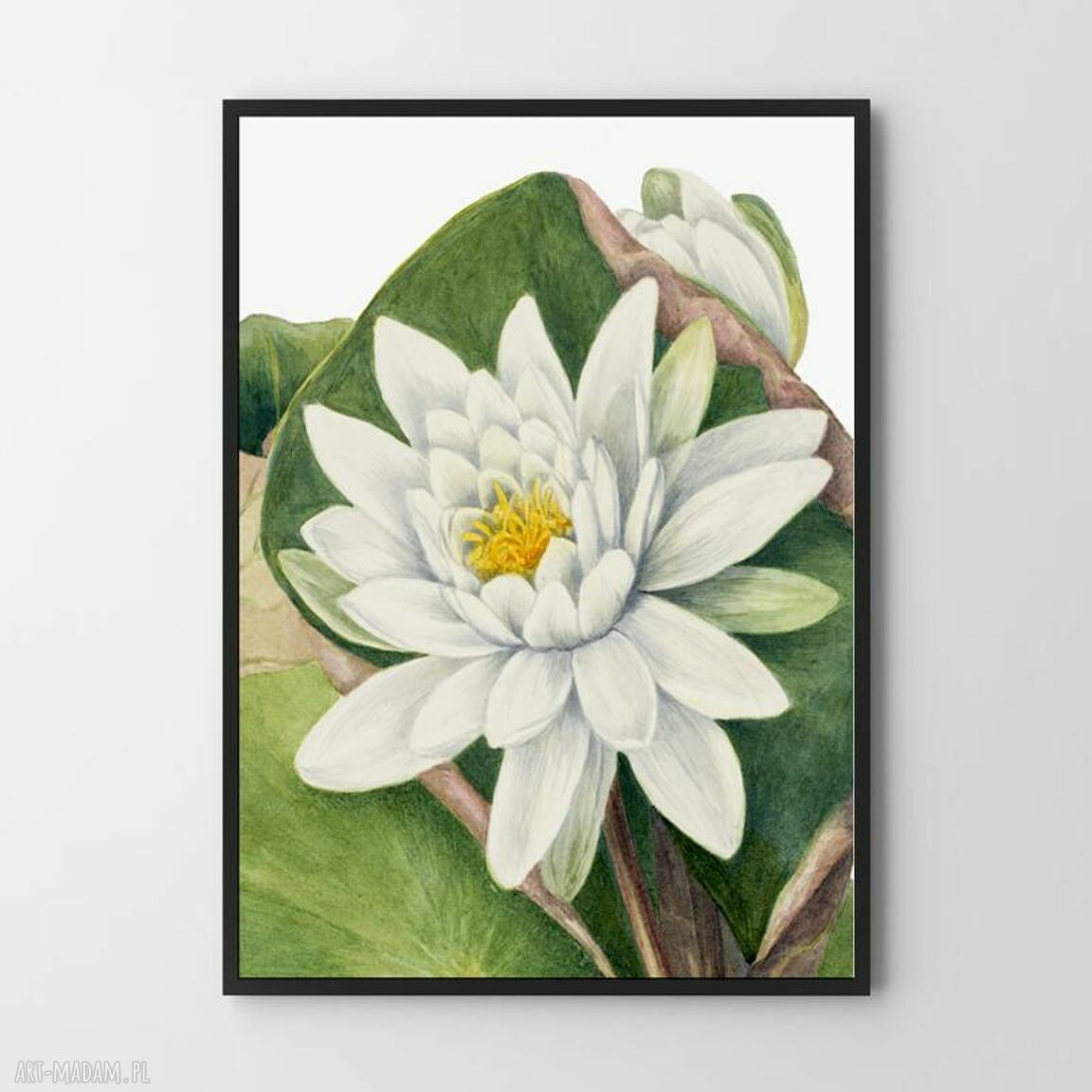 Plakat rośliny i kwiaty vintage 40x50 cm