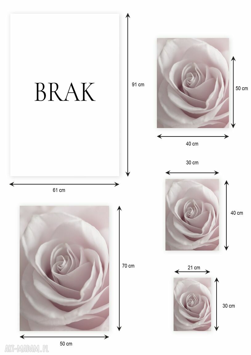 Plakat z delikatną różą 40x50 cm (GC -21 -743)