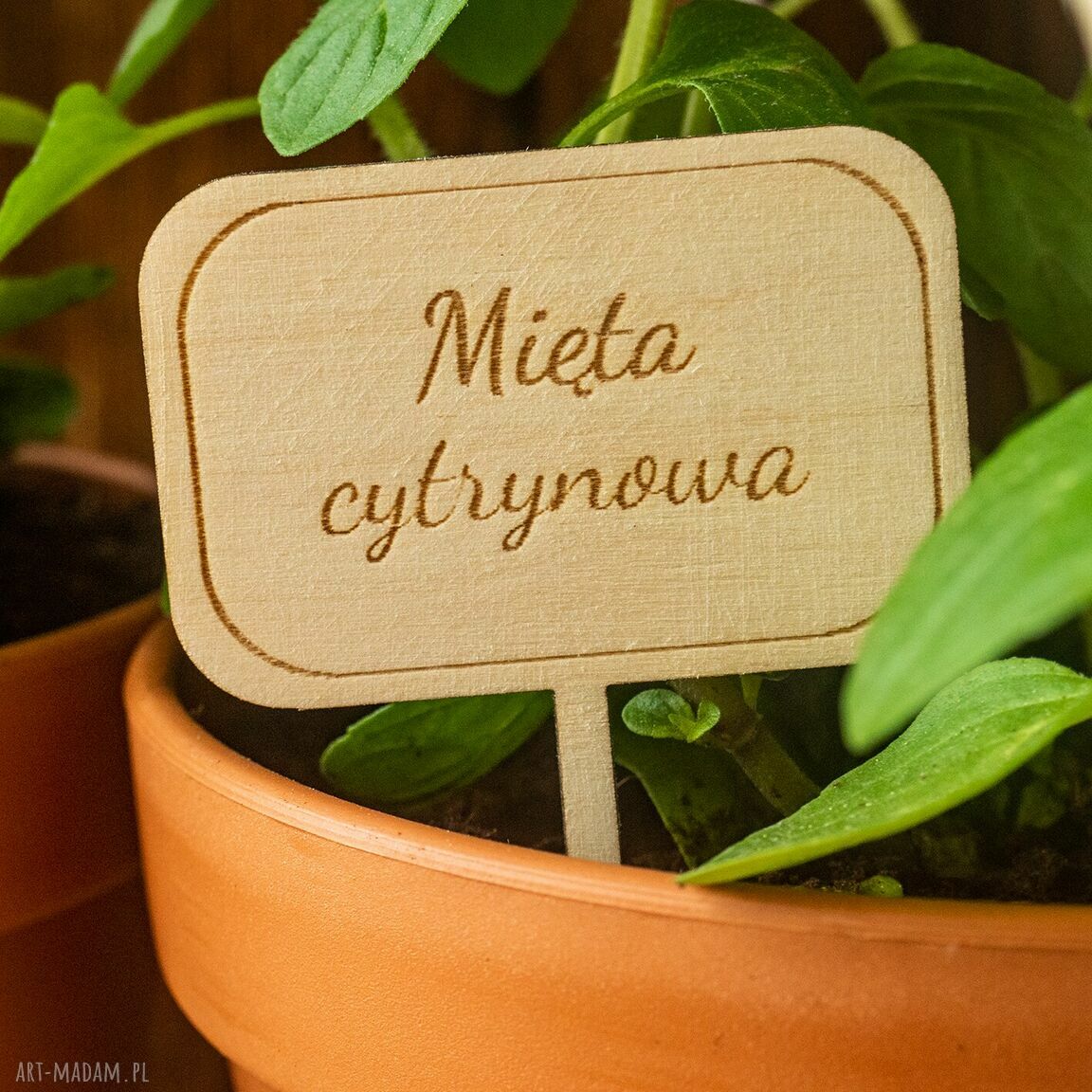 Drewniane tabliczki i toppery z podpisami do ziół