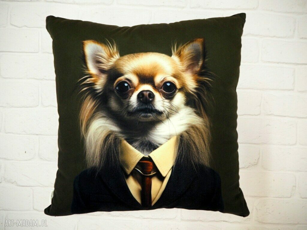 Poduszka 45x45 z portretem psa Chihuahua - Gustaw, Kolekcja Dżentelmeni