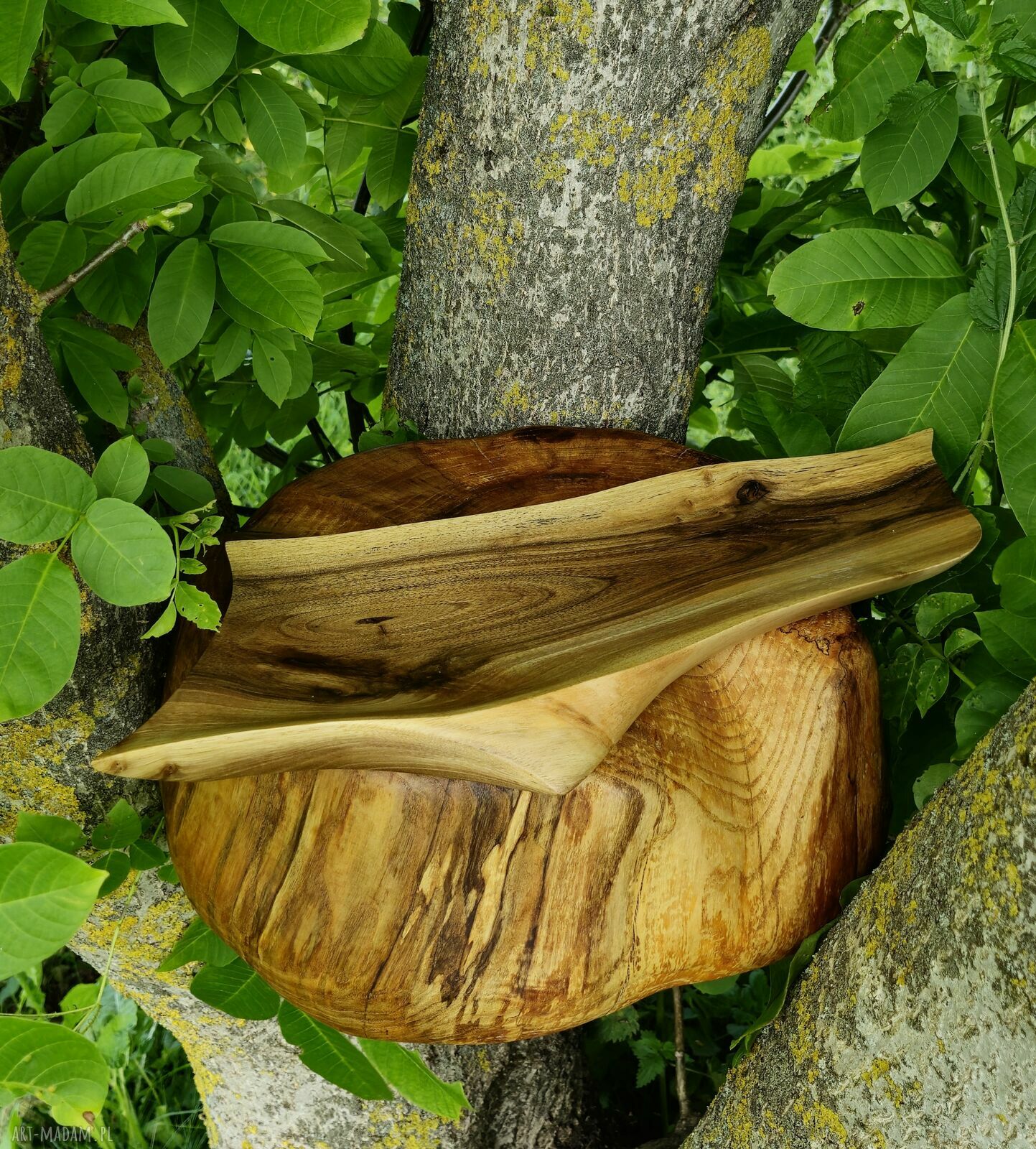 Ręcznie robiony półmisek z drewna orzecha włoskiego - 50 cm