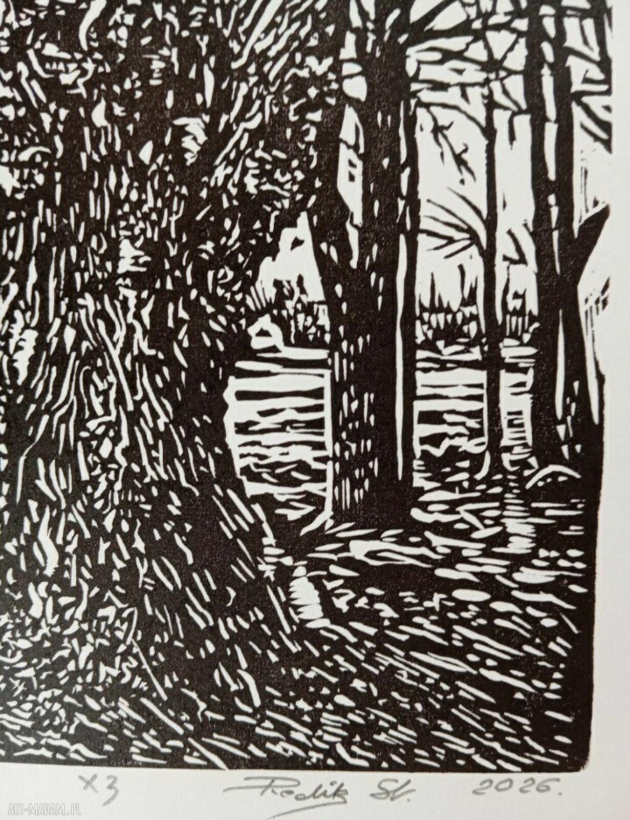 Linoryt 'Pomnik przyrody' - ręcznie wykonana grafika drzewa (limit 15 szt.)