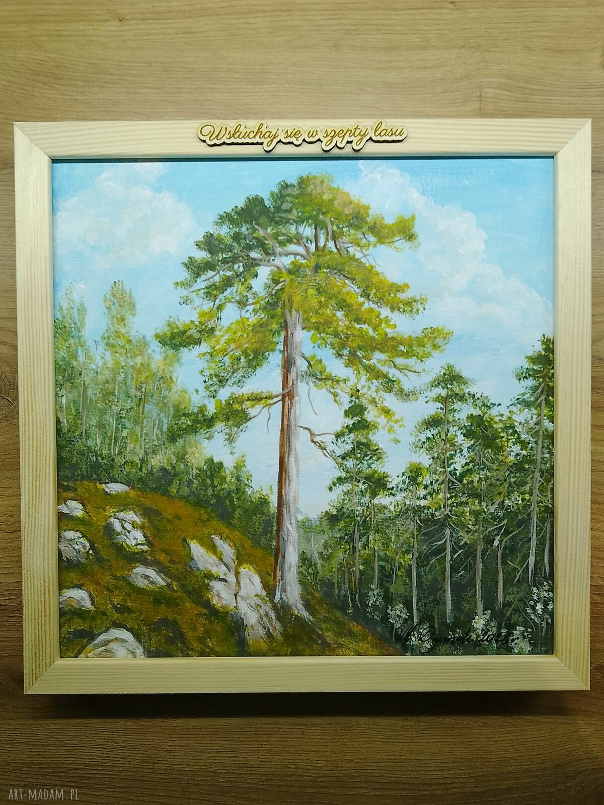 Obraz z ramą - "Wsłuchaj się w szepty lasu" (30x30 cm) - pejzaż sosny