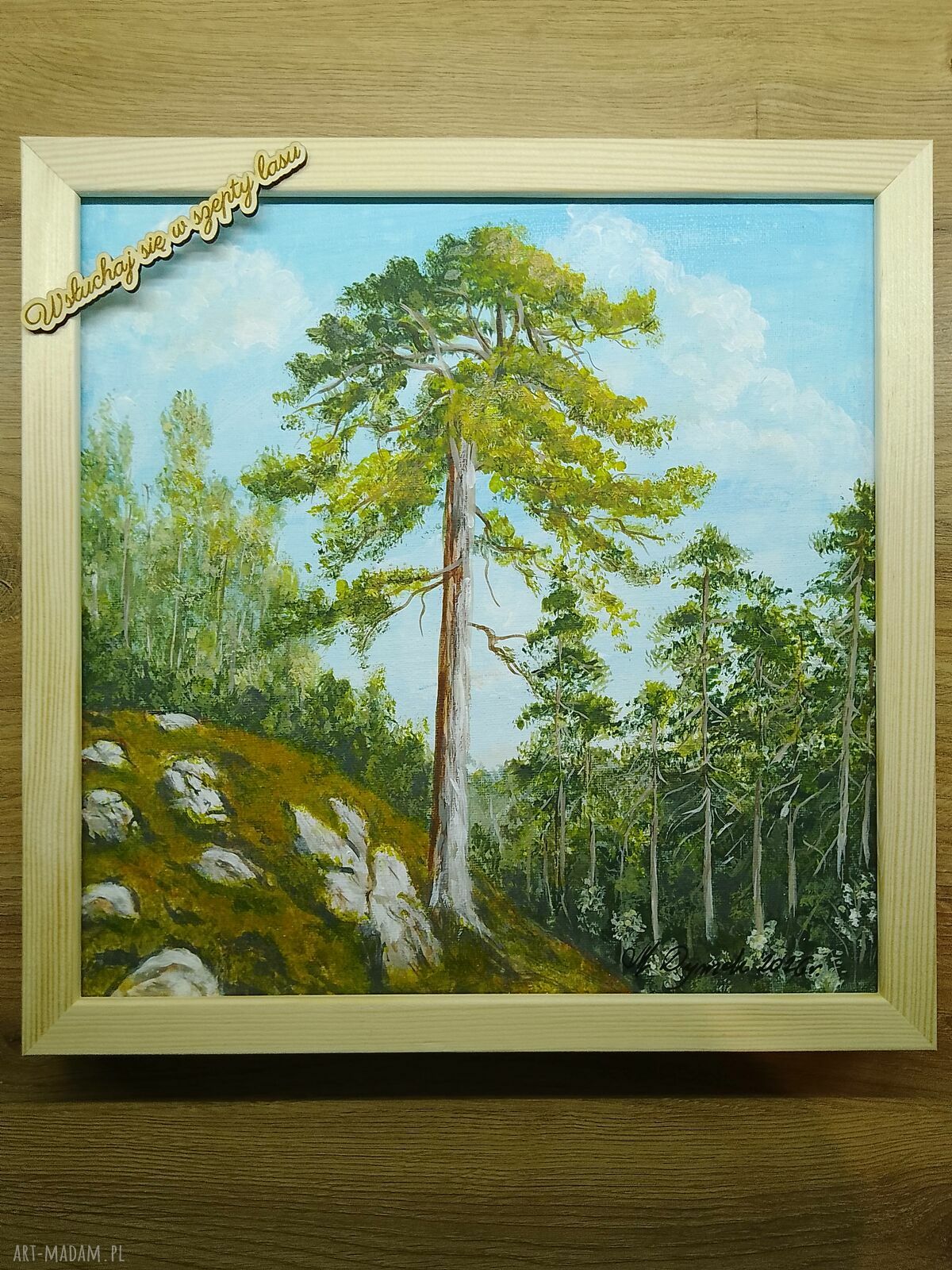 Obraz z ramą - "Wsłuchaj się w szepty lasu" (30x30 cm) - pejzaż sosny