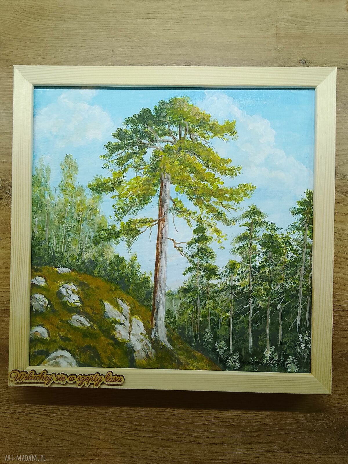 Obraz z ramą - "Wsłuchaj się w szepty lasu" (30x30 cm) - pejzaż sosny