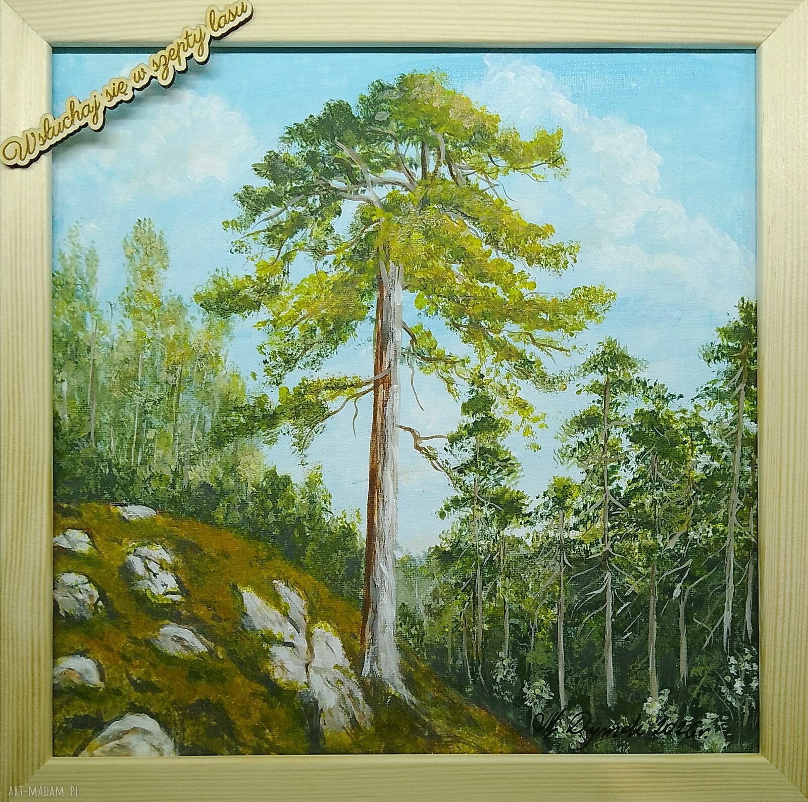 Obraz z ramą - "Wsłuchaj się w szepty lasu" 30x30 cm - pejzaż sosny