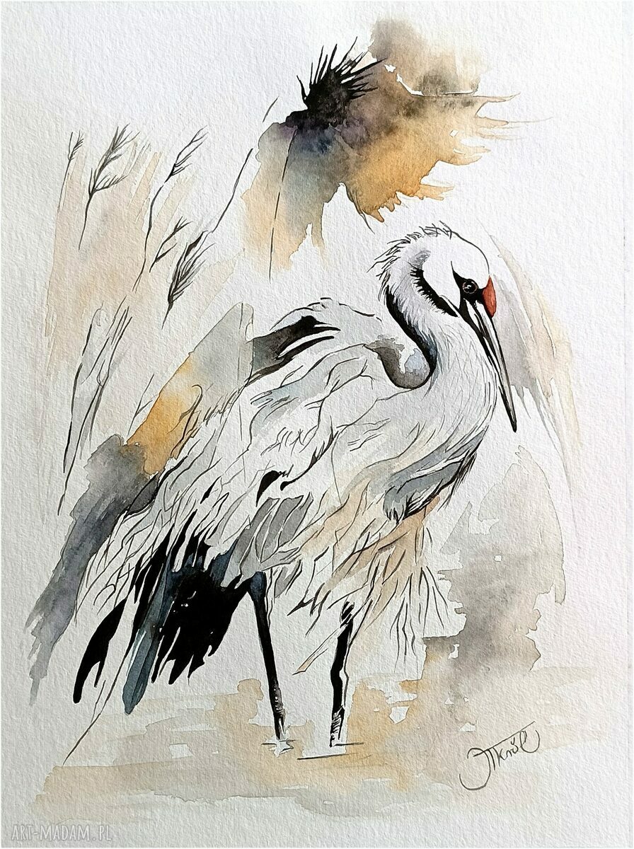Poranek żurawia - akwarela 24x32 cm oryginał, sygnowana