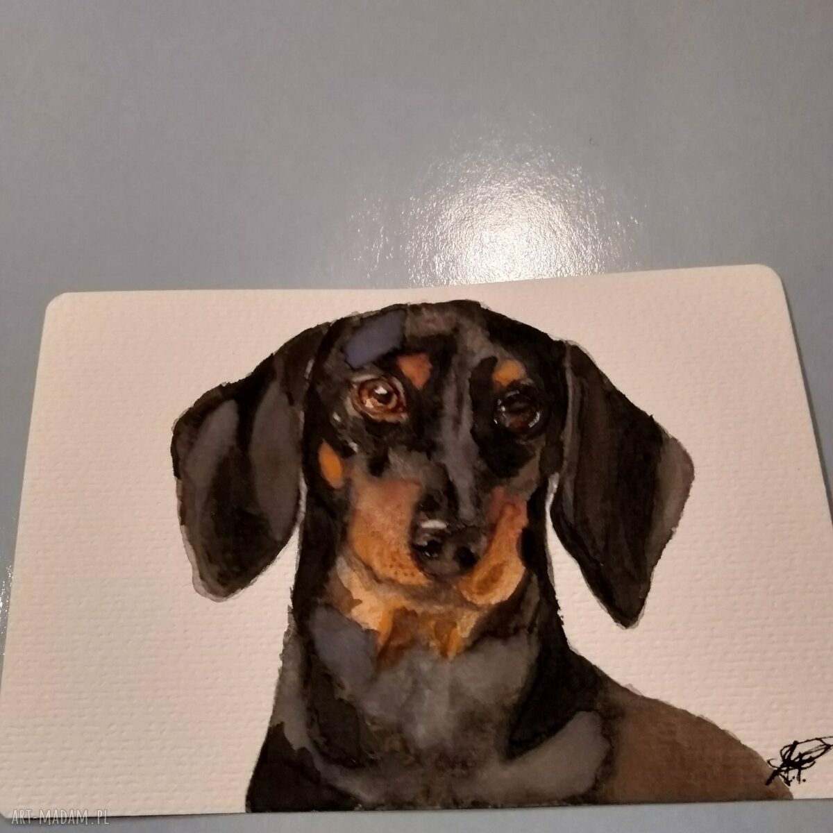 Portret jamnika z gwaszu 10x15 cm - ręcznie malowana ilustracja