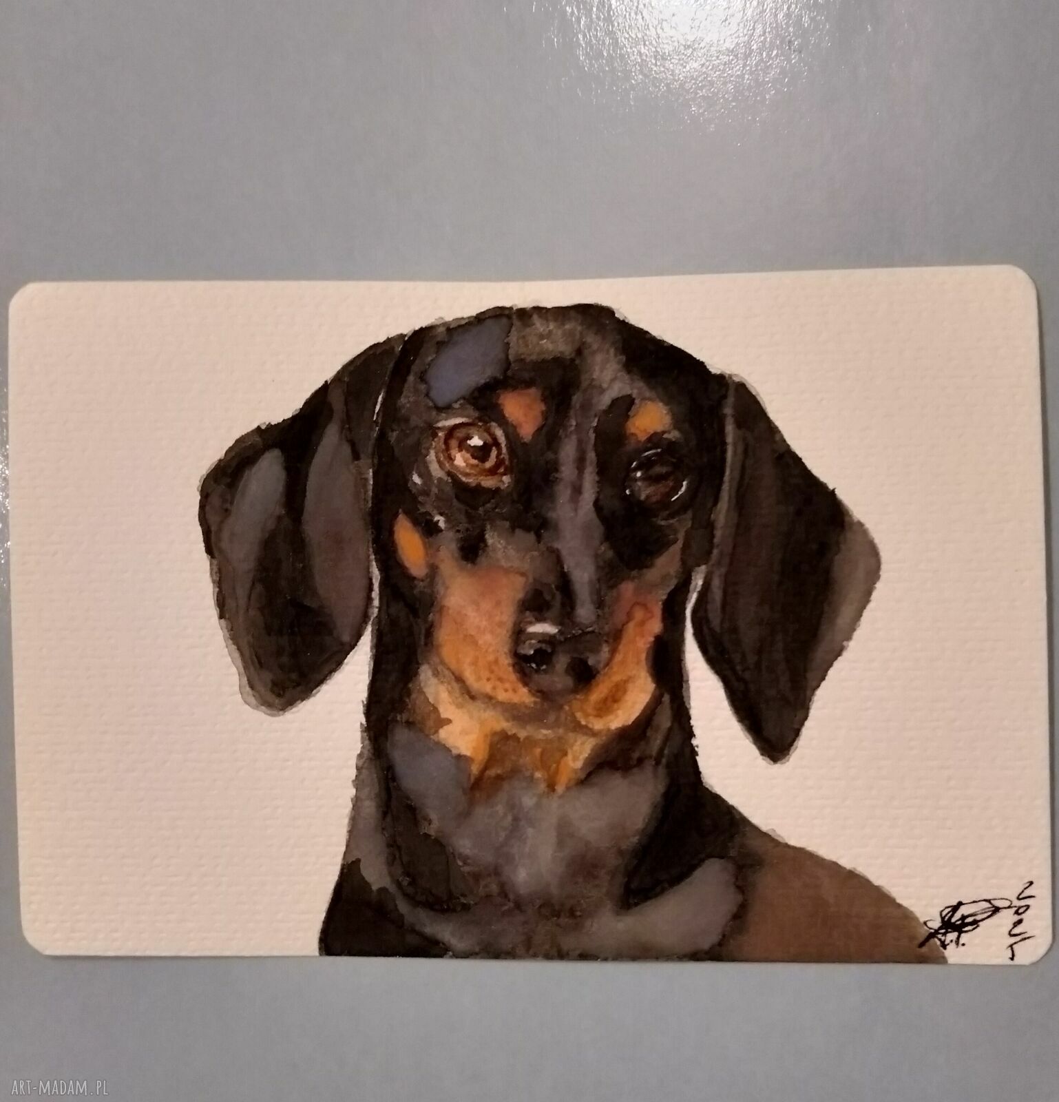 Portret jamnika z gwaszu 10x15 cm - ręcznie malowana ilustracja