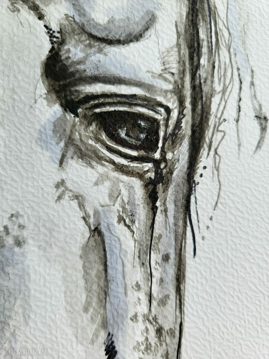 Portret konia - ręczna grafika tuszem i piórkiem Agnieszka Antczak