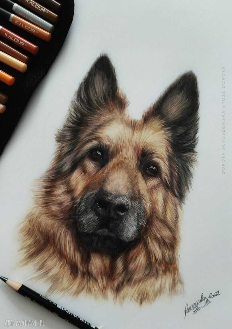 Portret pupila ze zdjęcia na zamówienie - realistyczny rysunek kredkami i ołówkiem