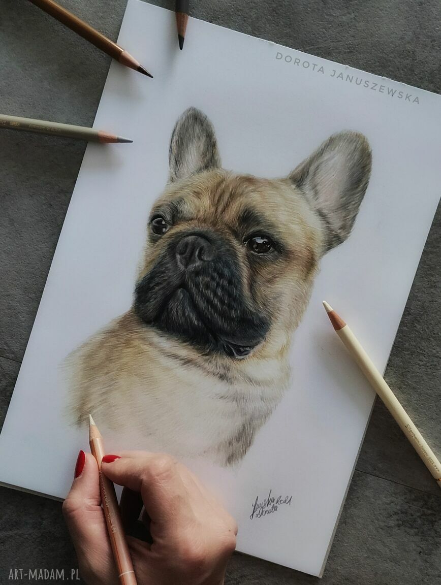 Portret pupila ze zdjęcia na zamówienie - realistyczny rysunek kredkami i ołówkiem