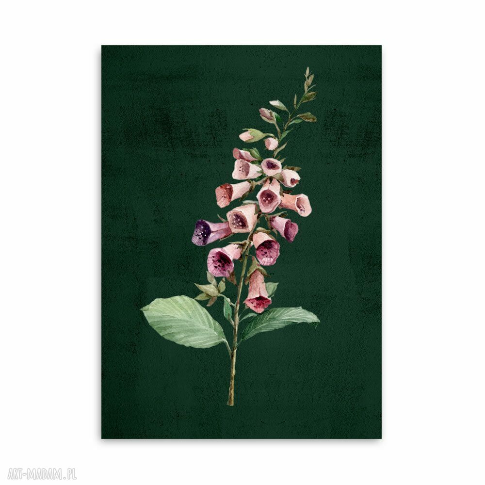 Akwarelowe roślinki - zielony tryptyk 3-częściowy 30x40 cm